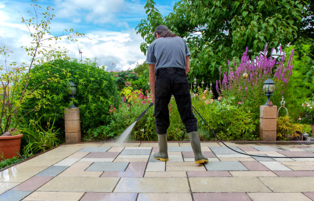 Best Roof Cleaning and Mildew Removal in Nesconset, NY